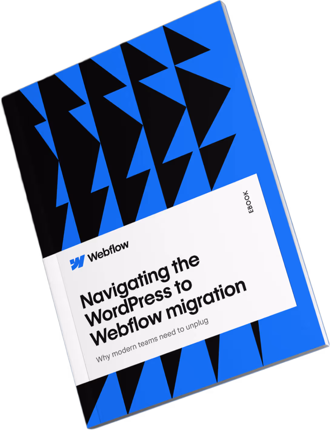 Cover art for an ebook that reads, 